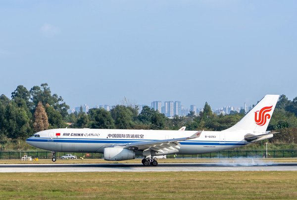 Quels sont les meilleurs spots pour la plongée avec les requins blancs en Afrique du Sud : conseils et périodes ?